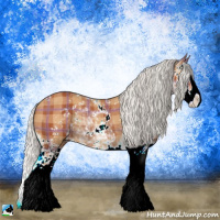 Horse Color:Plaid  Silver Bay Sabino Splash Rabicano 