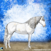 Horse Color:Plaid Silver Buckskin Ice Onyx Sabino Splash