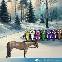 Horse Color:Liver Red Dun Sabino 