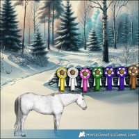 Horse Color:Liver Red Dun Sabino 