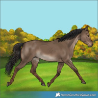 Horse Color:Liver Red Dun 