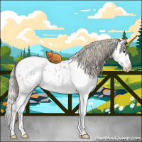 Horse Color:White Spotted Silver Grullo Ice Roan Splash Near Leopard Rabicano