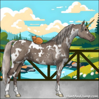 Horse Color:White Spotted Silver Grullo Roan 