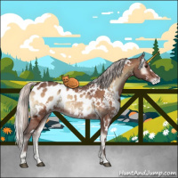 Horse Color:White Spotted Silver Brown Ice Onyx Appaloosa