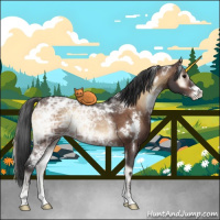 Horse Color:White Spotted Bay Ice Onyx Sabino Appaloosa Rabicano 
