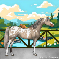 Horse Color:White Spotted Silver Brown Dun Appaloosa 