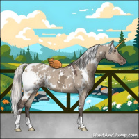 Horse Color:White Spotted Silver Brown Ice Dun Appaloosa 