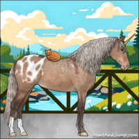 Horse Color:Silver Brown Dun Appaloosa 