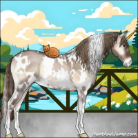 Horse Color:White Spotted Liver Red Dun Roan Onyx 