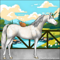 Horse Color:White Spotted Palomino Roan Pearl Dun Splash Rabicano 
