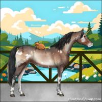 Horse Color:White Spotted Brown Ice Onyx Appaloosa 