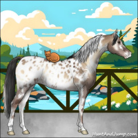 Horse Color:White Spotted Liver Red Dun Onyx Appaloosa Rabicano 