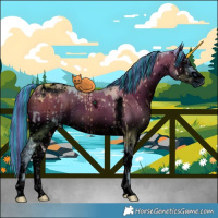 Horse Color:ERROR: UNKNOWN ANOMALY