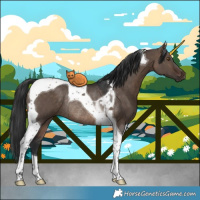 Horse Color:Brown Dun Tobiano Rabicano 
