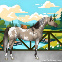 Horse Color:White Spotted Liver Red Dun 