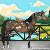 Horse Color:Gray White Spotted Brown Dun