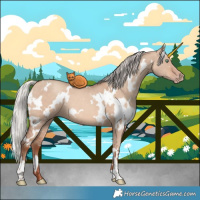 Horse Color:White Spotted Silver Sable Champagne Dun 