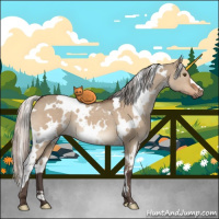Horse Color:White Spotted Silver Brown Dun 
