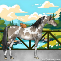 Horse Color:White Spotted Brown Dun 