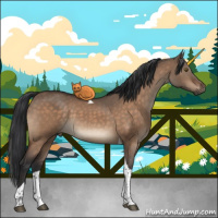 Horse Color:Brown Dun Tobiano 