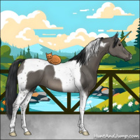 Horse Color:Grullo Tobiano 