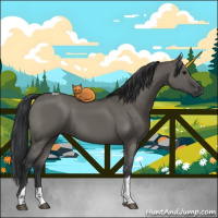 Horse Color:Grullo Tobiano 