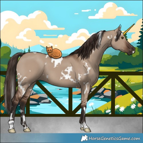 Horse Color:White Spotted Liver Red Dun