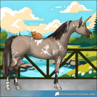 Horse Color:White Spotted Liver Red Dun 