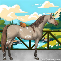 Horse Color:White Spotted Liver Red Dun 
