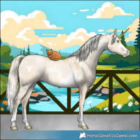 Horse Color:White Spotted Gold Cream Champagne Pearl Dun 