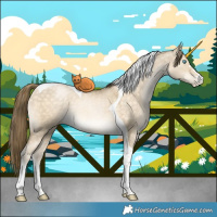 Horse Color:Buckskin Pearl Dun Tobiano 