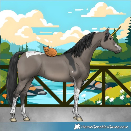 Horse Color:Grullo Tobiano