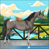 Horse Color:Grullo Tobiano 