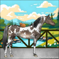 Horse Color:White Spotted Brown Dun 