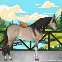 Horse Color:Brown Dun Tobiano