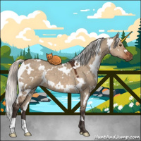 Horse Color:White Spotted Silver Brown Dun 