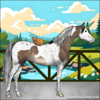 Horse Color:Brown Dun Splash Tobiano 