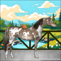 Horse Color:White Spotted Liver Red Dun 