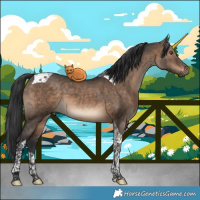 Horse Color:Brown Dun Tobiano 