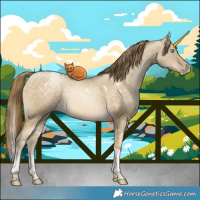Horse Color:White Spotted Buckskin Pearl Dun Tobiano 