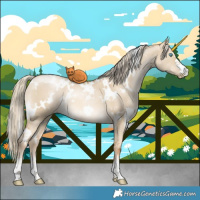 Horse Color:White Spotted Chocolate Palomino Pearl Dun 