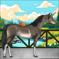 Horse Color:Brown Dun Tobiano