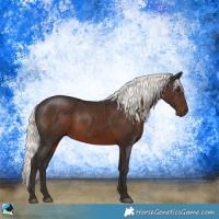 Horse Color:Liver Chestnut Mushroom Sabino 