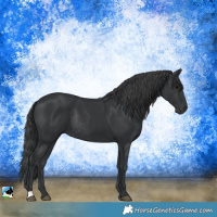 Horse Color:Black Rabicano 
