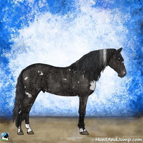 Horse Color:White Spotted Black Ice 
