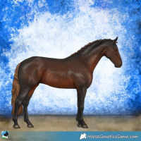 Horse Color:Liver Chestnut Rabicano