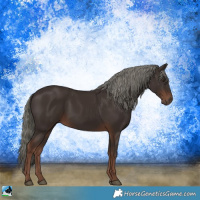 Horse Color:Liver Chestnut Mushroom 