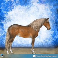 Horse Color:Chocolate Palomino Sabino 