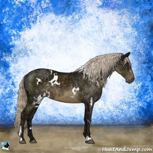 Horse Color:White Spotted Chocolate Palomino Ice Mushroom Rabicano 