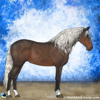 Horse Color:Liver Chestnut Mushroom 